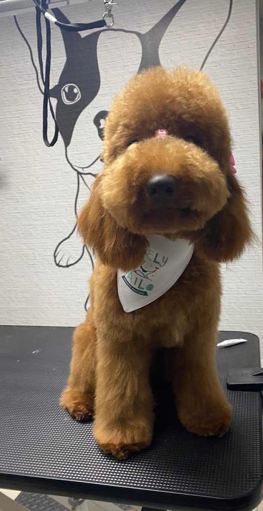LOVELY TAILS GROOMING BOUTIQUE